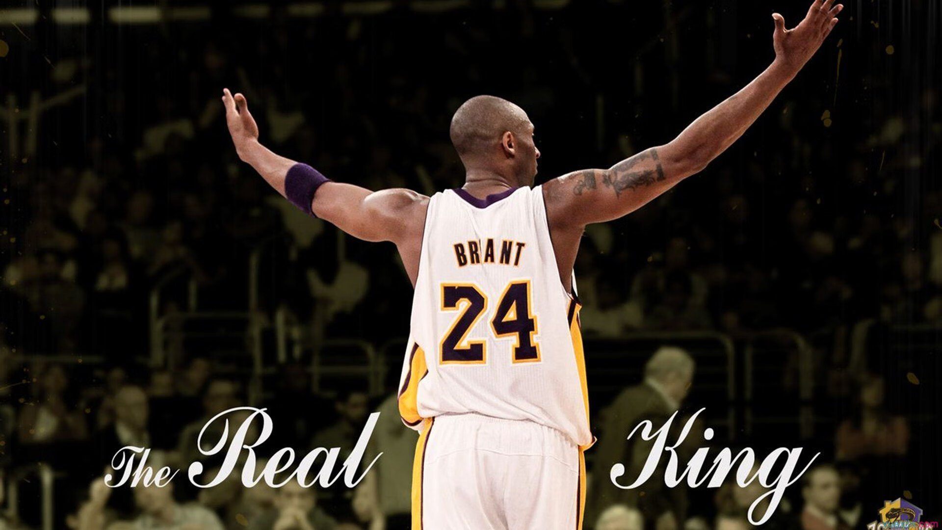 街道上的交响，F1迈阿密焦点战与热火黄蜂的鏖战